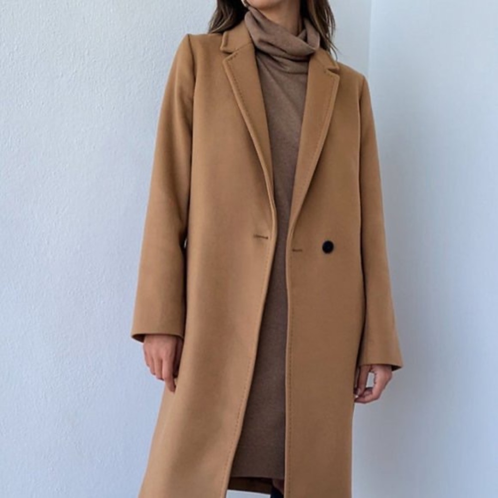 Aritzia Stedman Coat in Saville